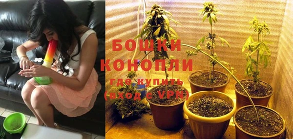ГАЛЛЮЦИНОГЕННЫЕ ГРИБЫ Киреевск