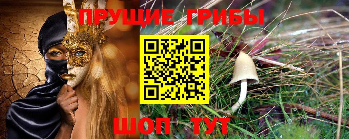 Каннабис Богданович