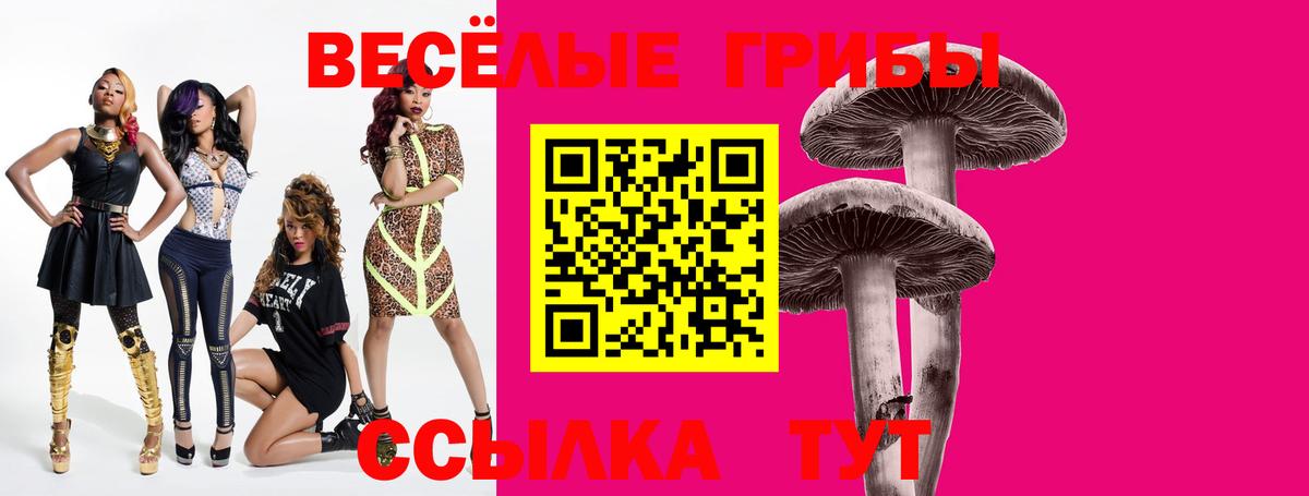 Псилоцибиновые грибы GOLDEN TEACHER  Вход с VPN  хочу   Богданович 
